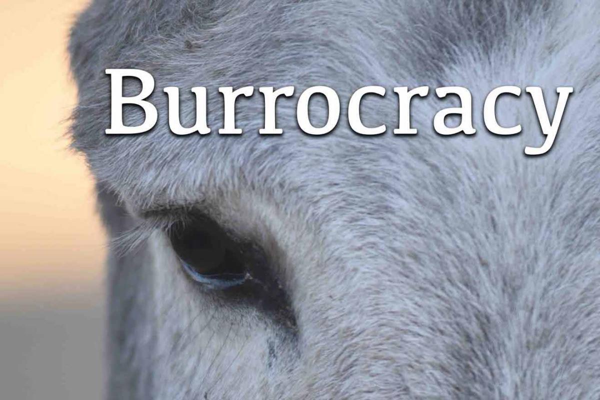 The head of a grey donkey and the text Burrocracy in white letters across the top.