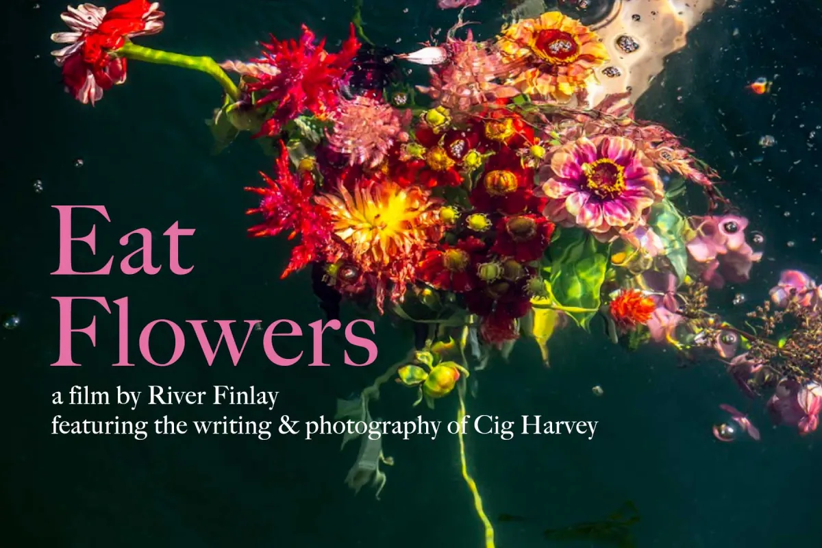 bouquet of flowers floating in still water 