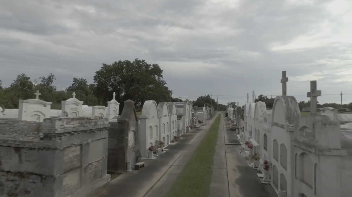 rows of graves in a cemetery 