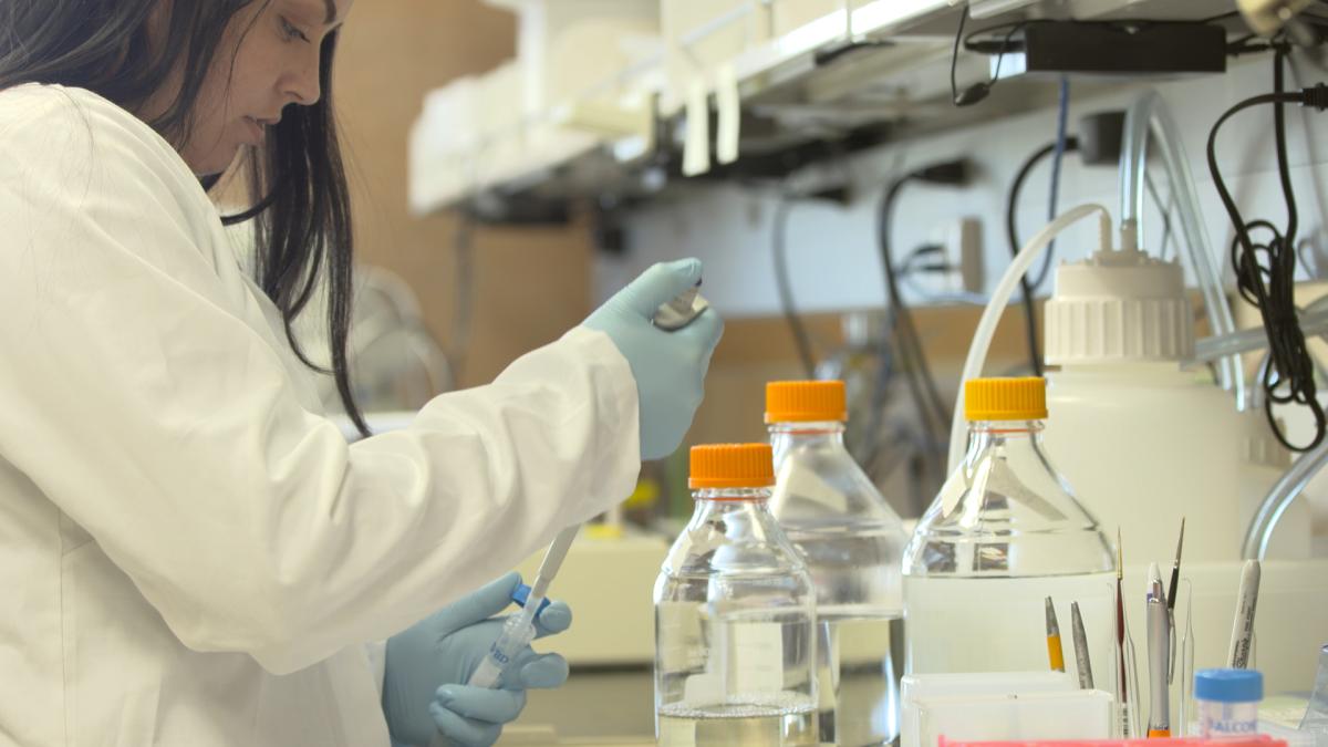 a female scientist loads a vial in a scientific lab.