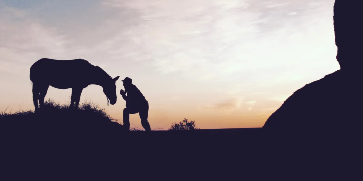 a man leans over to his horse, both silhouetted in the fading sunset.