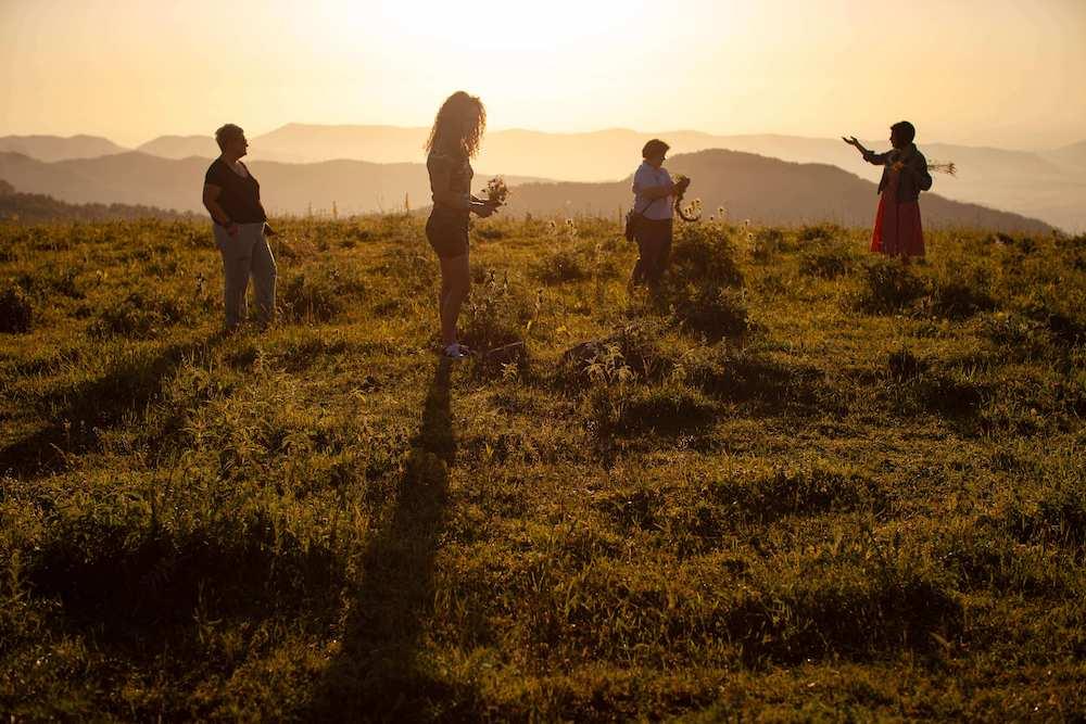 Four women from Artsakh gather flowers on a mountaintop at sunrise.
