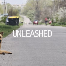 Image of a dog lying by the side of a road, with the words UNLEASHED superimposed on top