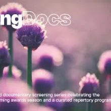 Spring Docs Thumbnail