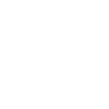 White Elephant Group Logo