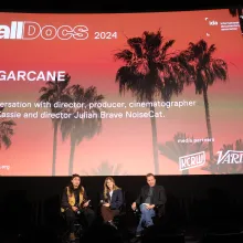 Picture of Q&A participants in front of a movie screen with FallDocs logo