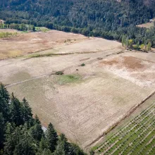 Aerial view of a 20 acre flower farm