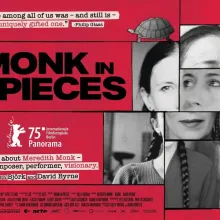 Horizontal film poster. Red background. A collage of parts of the same woman's face