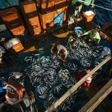From above, an image of fishermen sorting their catch.