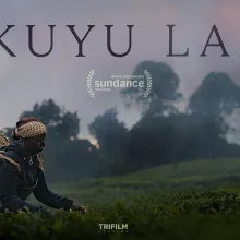Official film poster; female tea field worker picking tea