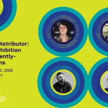 Green and blue flyer for IDA Insight:Beyond the Distributor: Theatrical Exhibition for Independently-Released Films