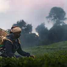 A Black woman with a basket on her back farms in a field with a cloudy landscape behind her