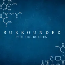 Title Surrounded - The EDC Burden in white lettering against a blue faded background. In the upper left corner and the lower right corner are images of chemical formulations.