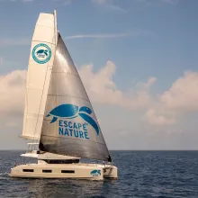 A white sailing catamaran with the Escape to Nature logo moves across the open sea beneath large clouds in warm evening light. The boat is shown from the side with its sails raised. I confirm that I have the rights to all content submitted.