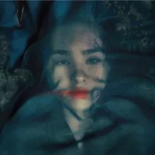 A-Fox-Under-a-Pink-Moon film still