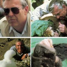 Four photos of Bill Kurtis interacting with animals and the camera.