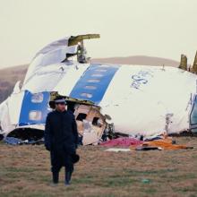 Two police officers in front of a plane wreckage in the field