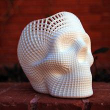 Image of a 3D printed skull.