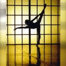 The silhouette of a ballerina extending her arm and leg, from Tom Papa's 'True Prince: Vladimir Malakhov.' (U.S., 48 min.)