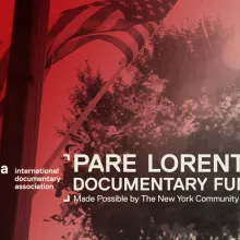 US flag on a pool under the sun with a tree in the background.