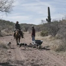 Raymond Valenzuela runs into Sylvester, another member of the O'odham community in Sonora, while on a run to collect firewood.