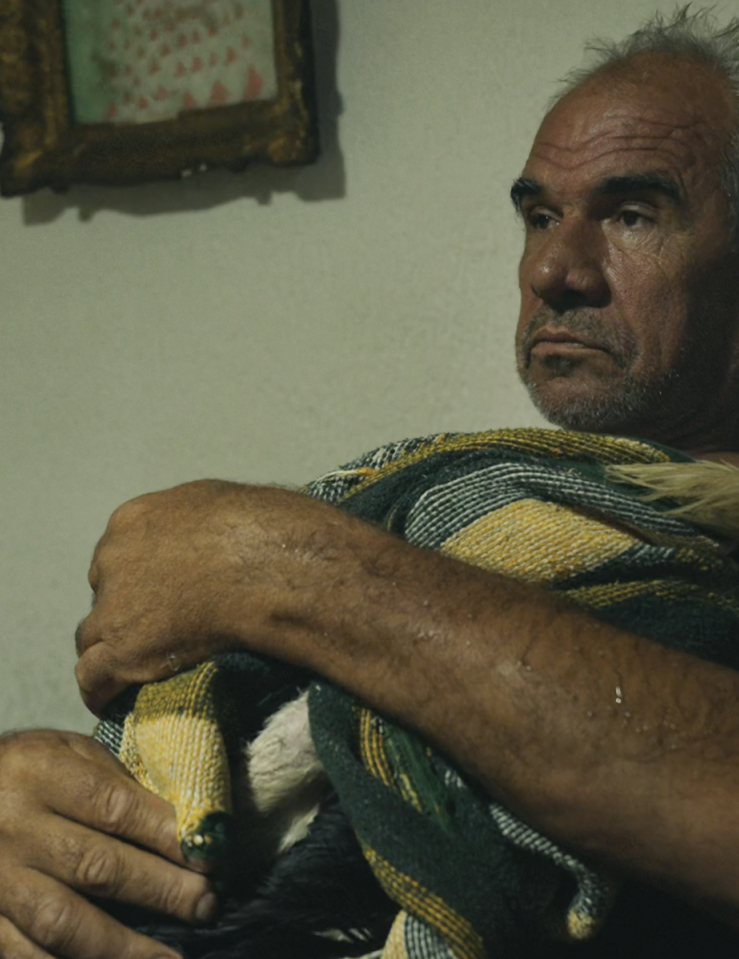 An older man holding a stork in a blanket in his living room.