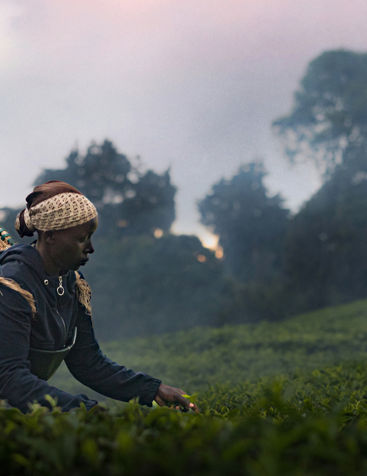 A Black woman with a basket on her back farms in a field with a cloudy landscape behind her
