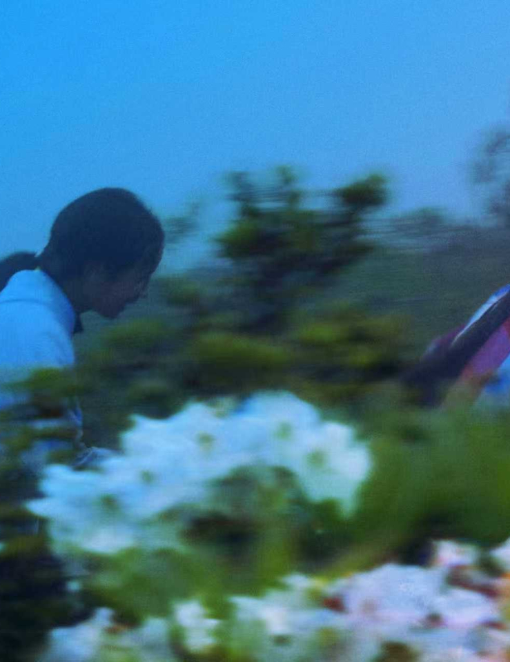 Wildly saturated photo of two young girls with long black hair walking in a meadow filled with flowers