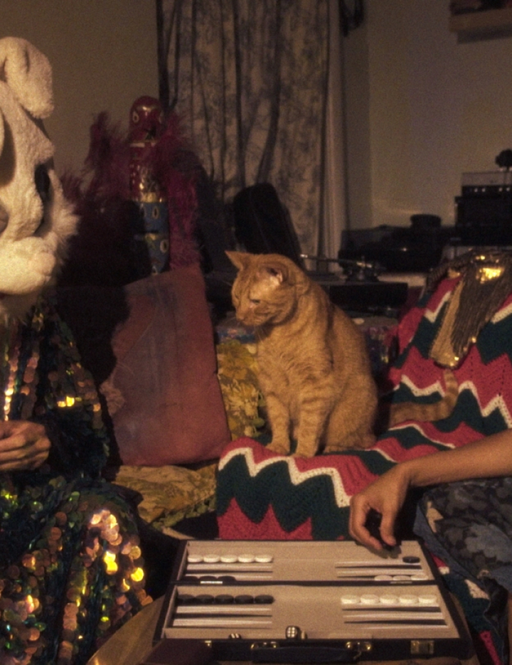 A figure in a colorful, sequined robe and bunny mask and a woman in a black shirt play backgammon. An orange cat sits between them, appearing to stare incredulously at the masked figure