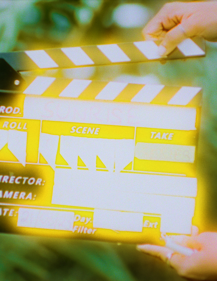 Two hands prepare to clap shut a slate in front of ferns. The text on the slate is obscured by shining yellow light